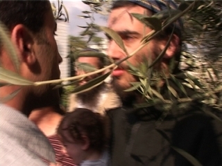 Settler harass Palestinian olive harvester, Tel Rumeida, Hebron , 26 Oct. 2006. Photo: Oren Yakobovich, B'Tselem. 