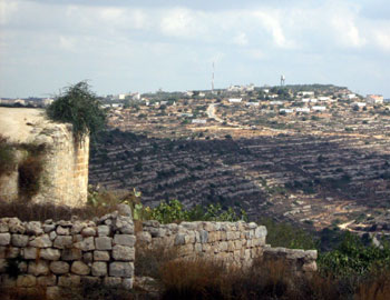 ההתנחלות "זית רענן", שלוחה של "טלמון" שהוקמה על אדמותיה של פח'יידה . צילום: איאד חדאד, בצלם
