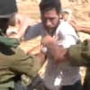Soldiers throw Palestinian shepherds off their land