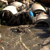 Wastewater from the Ariel settlement pollutes lands of the Palestinian town Salfit, November 2009