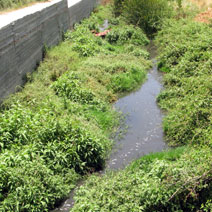 Wastewater from the Ariel settlement flowing near Salfit's central water-pumping station. Photo: Eyal Hareuveni, B'Tselem, 28 May '08.