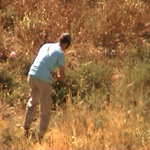 Settler sets fire to Burin fields, 1 June 2009. Photo: from B'Tselem's camera distribution project.
