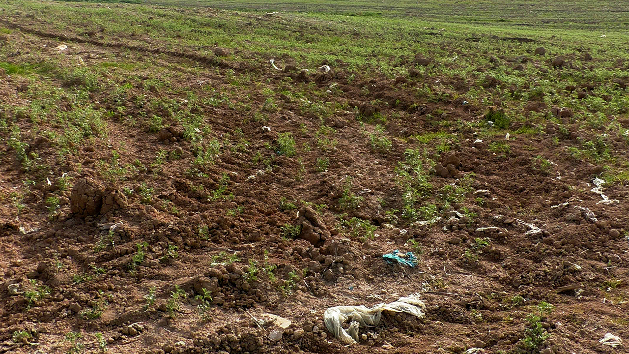 Field trampled by military vehicles, al-Farisiyah. Photo by: ‘Aref Daraghmeh, 7 Feb, 2018
