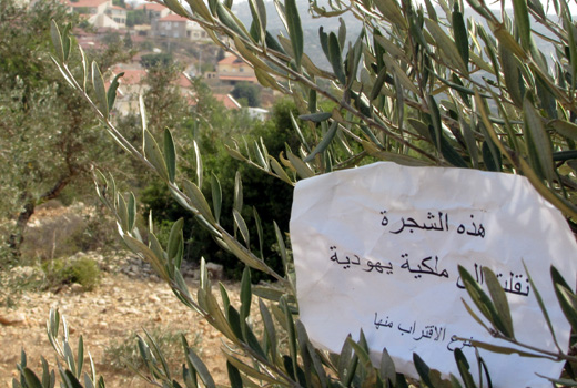 One of the signs hung on the trees. Photo: Iyad Hadad, B'Tselem, 24 Oct. '11. One of the signs hung on the trees. Photo: Iyad Hadad, B'Tselem, 24 Oct. '11.