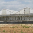 <p>[] 13  Aquarium fish ponds in the Ro'i settlement, northern Jordan Valley</p><p>Photo credit: Eyal Hareuveni, B'Tselem</p>