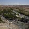 <p>[] 13  Jerusalem raw wastewater flowing toward the Dead Sea</p><p>Photo credit: Keren Manor, activestills.org</p>