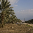 <p>[] 8  Palm groves near the Argaman settlement</p><p>Photo credit: Keren Manor, activestills.org</p>