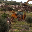 <p>[3542] 1  A Palestinian farmer on his donkey next to bulldozers constructing the Separation Barrier.</p><p>Photo credit: Atef Abu A-Rob, B'Tselem</p>