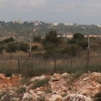 <p>[7002] 22  An olive grove at al-Aqba, a village in the West Bank, access to which was blocked by the separation barrier. Israel prohibits the owner from reaching the grove, resulting in its neglect.</p><p>Photo credit: Atef Abu A-Rob, B'Tselem</p>