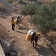 <p>[8210] 13  </p><p>Photo credit: Iyad Hadad, B'Tselem</p>
