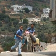 <p>[8262] 25  </p><p>Photo credit: Atef Abu A-Rob, B'Tselem</p>