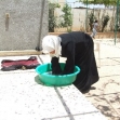<p>[9811] 25  </p><p>Photo credit: Atef Abu A-Rob, B'Tselem</p>
