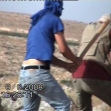 <p>[9744] 8  A settler attacks the Nawaj'ah family near Susiya. 8 June 2008.</p><p>Photo credit: Muna a-Nawaj'ah, "Shooting Back" B'Tselem</p>