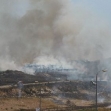 <p>[9853] 19  Fires, apparently set by settlers, on land of Burin Village, Nablus District, 19 June 2008.</p><p>Photo credit: Salma a-Dib’i, B'Tselem</p>