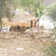 <p>[9977] 29  Tent encampment settlers set up on privately-owned Palestinian land in Wadi Hassin, Hebron, August 2008.</p><p>Photo credit: Noam Preiss, B'Tselem</p>