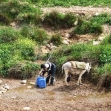 <p>[10668] 23  The Daraghmeh family, from Kh. al-Malah, suffers from severe water shortage. The picture shows a family member filling containers with water from springs.  </p><p>Photo credit: Atef Abu A-Rob, B'Tselem</p>