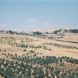 <p>[777] 17  The village of Nu'man and its fields. Though located in Jerusalem, residents have West Bank IDs and are "illegally in Israel" when in their own homes. A roadblock prevents access to Jerusalem, and the Separation Barrier will block access to the West Bank.</p><p>Photo credit: Yehezkel Lein, B'Tselem</p>