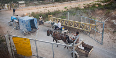 פלסטינים עוברים בשער חקלאי בכפר ג'יוס. צילום אורן זיו, 24.9.12 ,activestill.org.