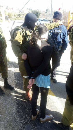 D.W. being arrested. Photo circulated on social media by “Gush Etzion Spokesman Group”