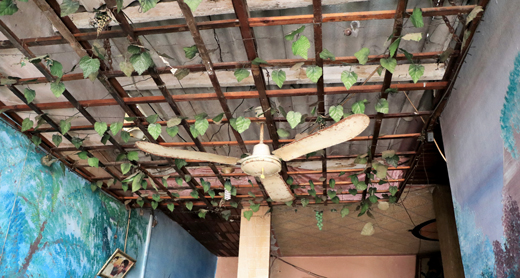 The disused fan in the Abu Hashish home. Photo by Khaled al-‘Azayzeh, B’Tselem, 13 July 2017= The disused fan in the Abu Hashish home. Photo by Khaled al-‘Azayzeh, B’Tselem, 13 July 2017