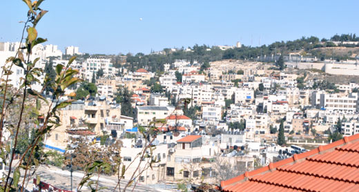 Wadi al-Joz neighborhood. Photo: Noga Kadman, B'Tselem, 10 Nov. 2014