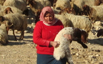 בעינים פקוחות - בלוג צילום