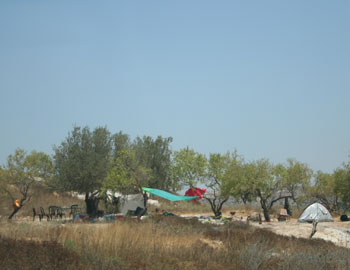 The settler tent encampment near Kfar Qadum. Photo: Ra'aed Moqdi, B'Tselem, 7 Sept. 2008.