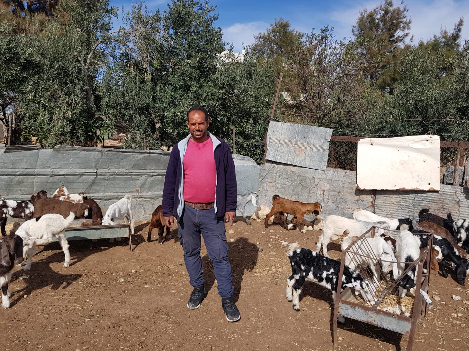 ח'לף אל-עבייאת ועדר העיזים שלו, לאחר שהותקף בידי מתנחלים. כיסאן, 25.1.2021. צילום: מוסא אבו השהש, בצלם
