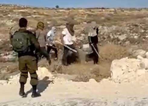 Settlers armed with clubs approaching the spot. Photo courtesy of the farmers 