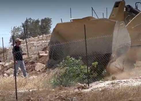 דחפור של המנהל האזרחי עוקר עץ בתוך החלקה. צילום: עיז הזאלין