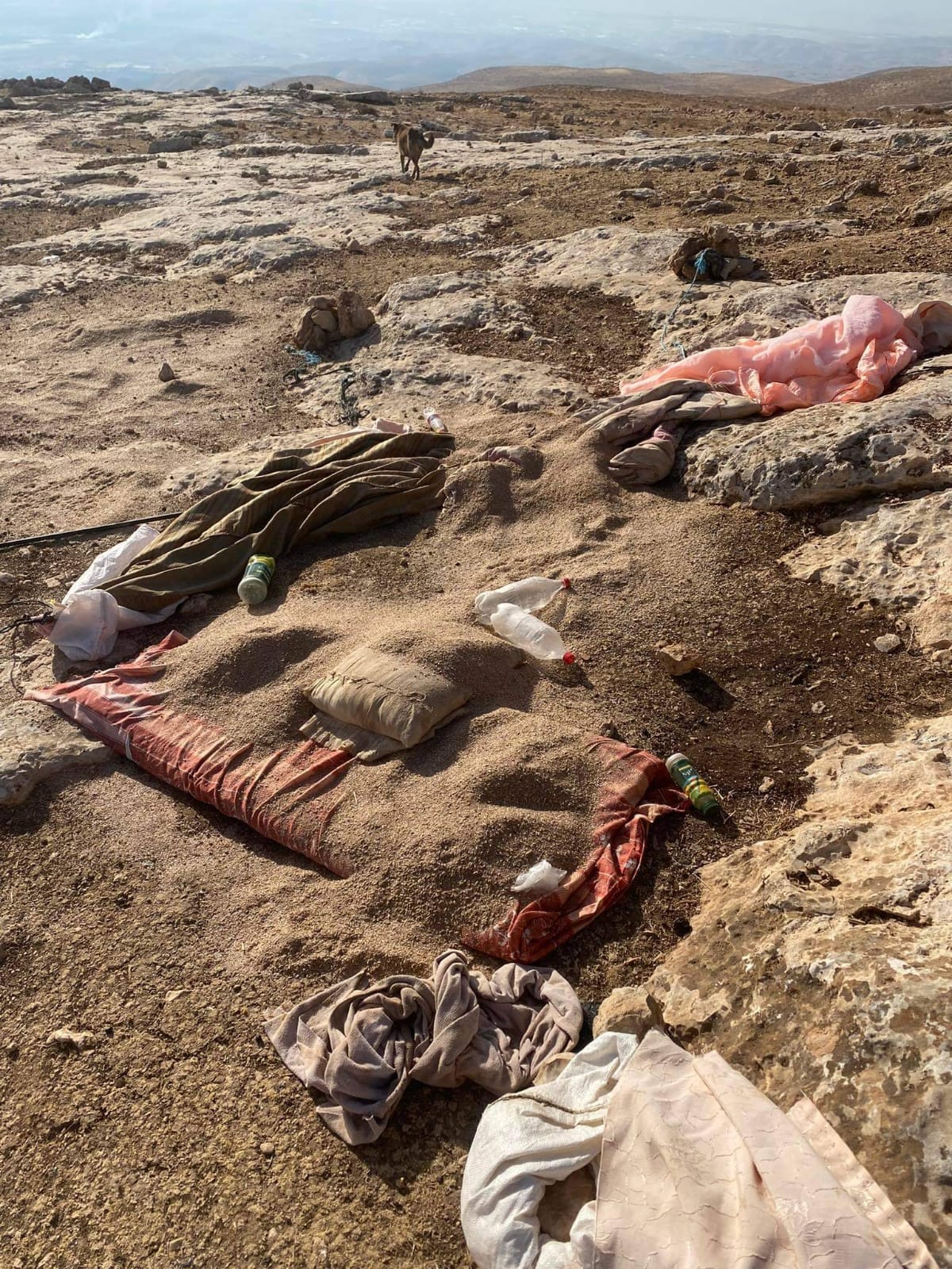 The bran and barley spilled by the settlers. Photo: Iyad Hadad, B’Tselem