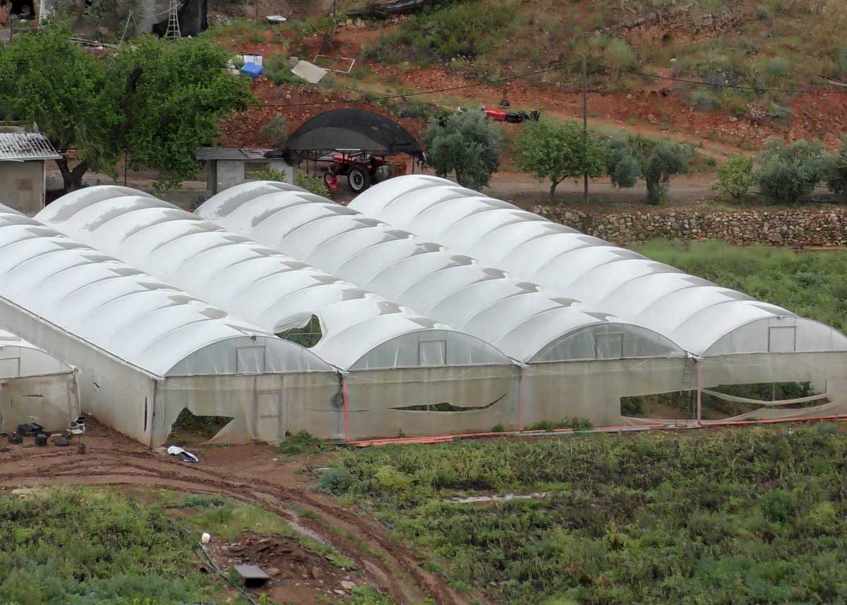 Greenhouse sheeting torn by settlers.Photo by 'Aref Daraghmeh, B'Tselem, 7 April 2023