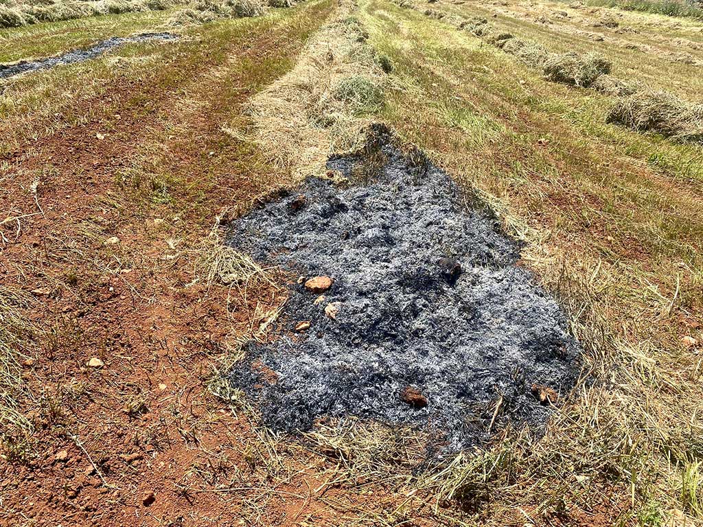 קטע מאדמתו של מוחמד עוואד ששרפו המתנחלים בתורמוסעיא. צילום: איאד חדאד, בצלם, 16.5.23.  