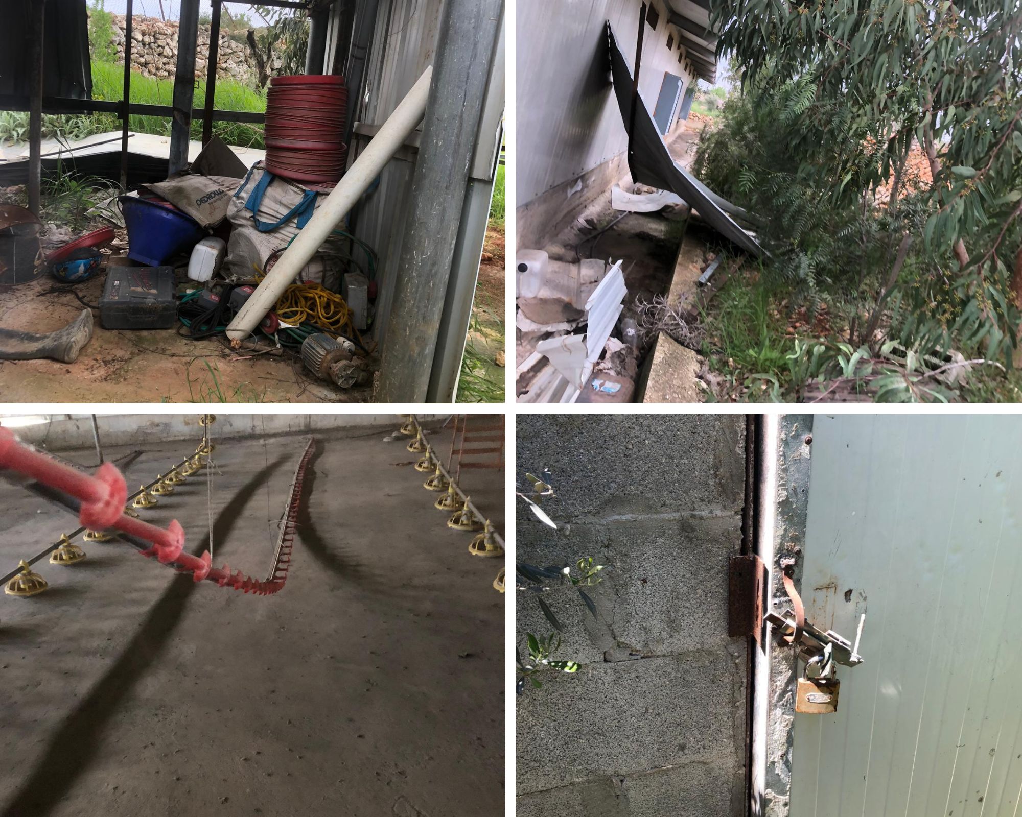The damages caused to the chicken coop of ‘Abd al-Hakim ‘Odeh. Photos courtesy of al-Hakim ‘Odeh