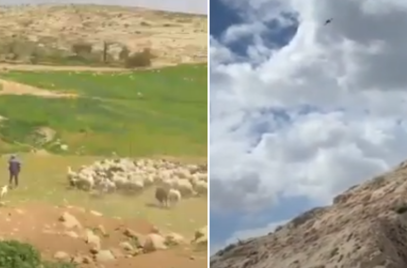 מתוך תיעוד הווידאו