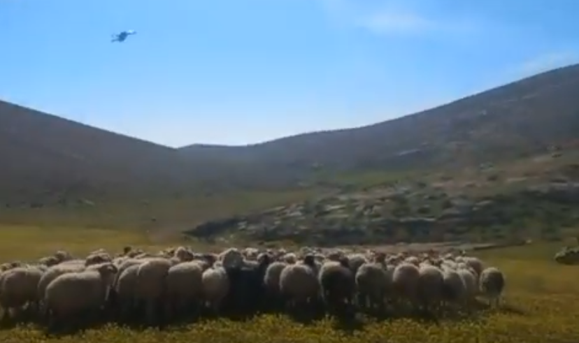 Still from video