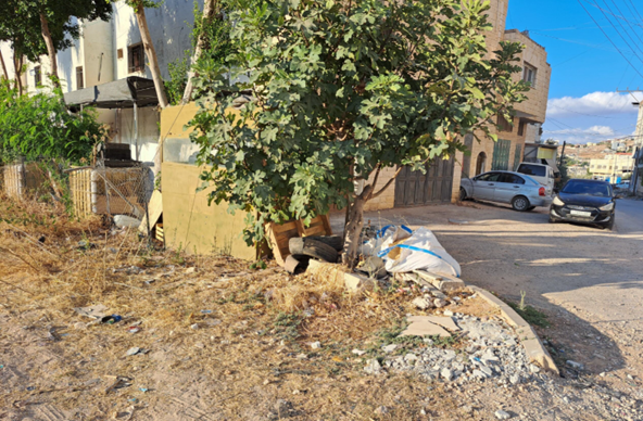 The tree and the police officers' station at the entrance to the customs office. Photo: 'Aref Daraghmeh, B'Tselem    