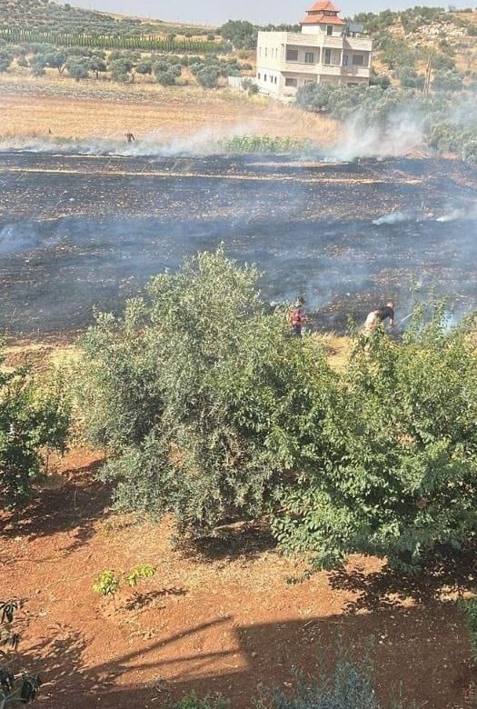Mu’tasem ‘Odeh’s burnt wheat field. Photo courtesy of ‘Odeh