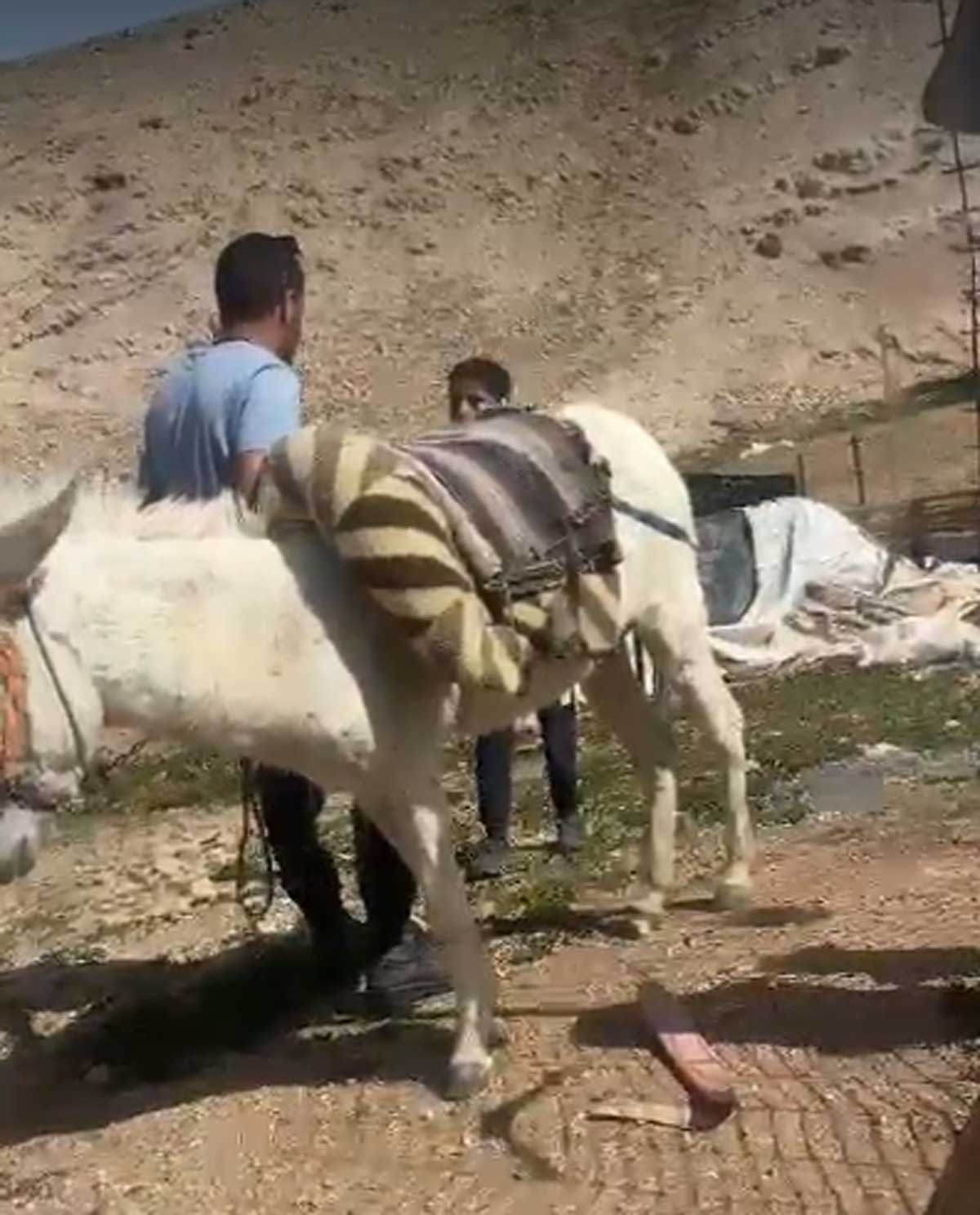 مستوطن يهدد عبد الله نصر (13 عامًا). من توثيق فيديو  