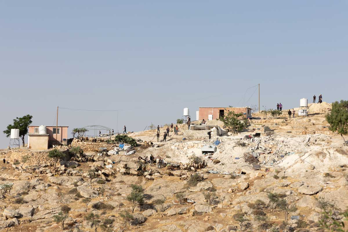 Settlers raiding the village of Khilet a-Dabe’ with their flock. Photo: Omri Eran-Vardi, ActiveStills, 31 May 2025 