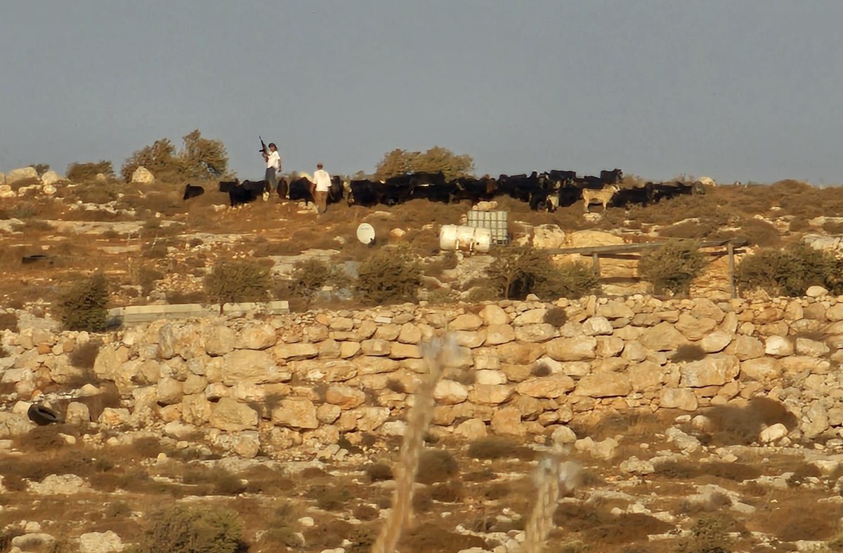 المستوطن المسلح ورفيقه مع قطيع الماشية بجانب حديقة الألعاب الخاصة بالقرية. صورة قدمها السكان مشكورين 