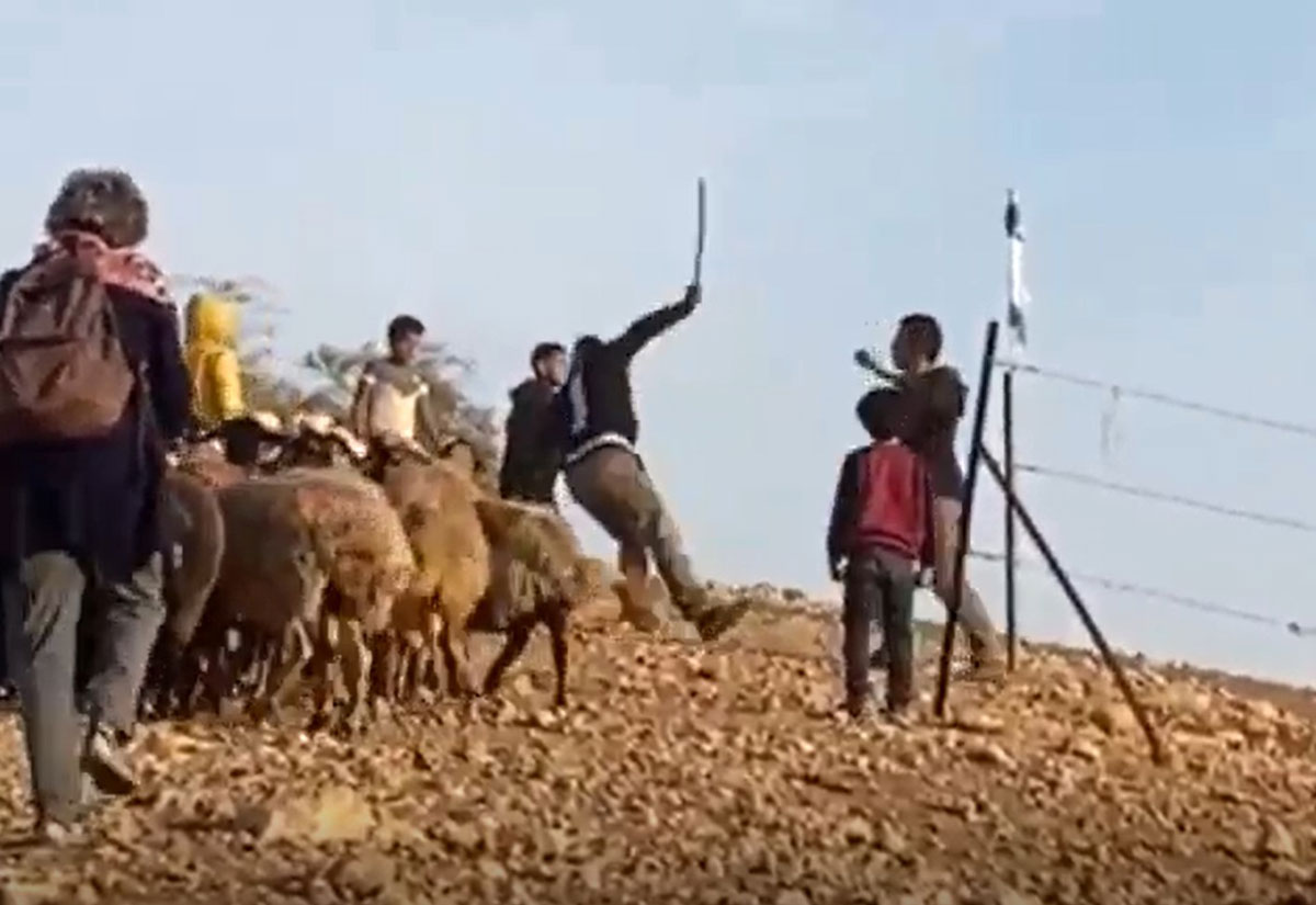 جلعاد عموسي يدفع ويوقع لؤي أبو محسن بجانب السياج السلكي الذي أقامه لمنع خروج القطيع إلى المراعي. من فيديو توثيقي قدمه السكان مشكورين  