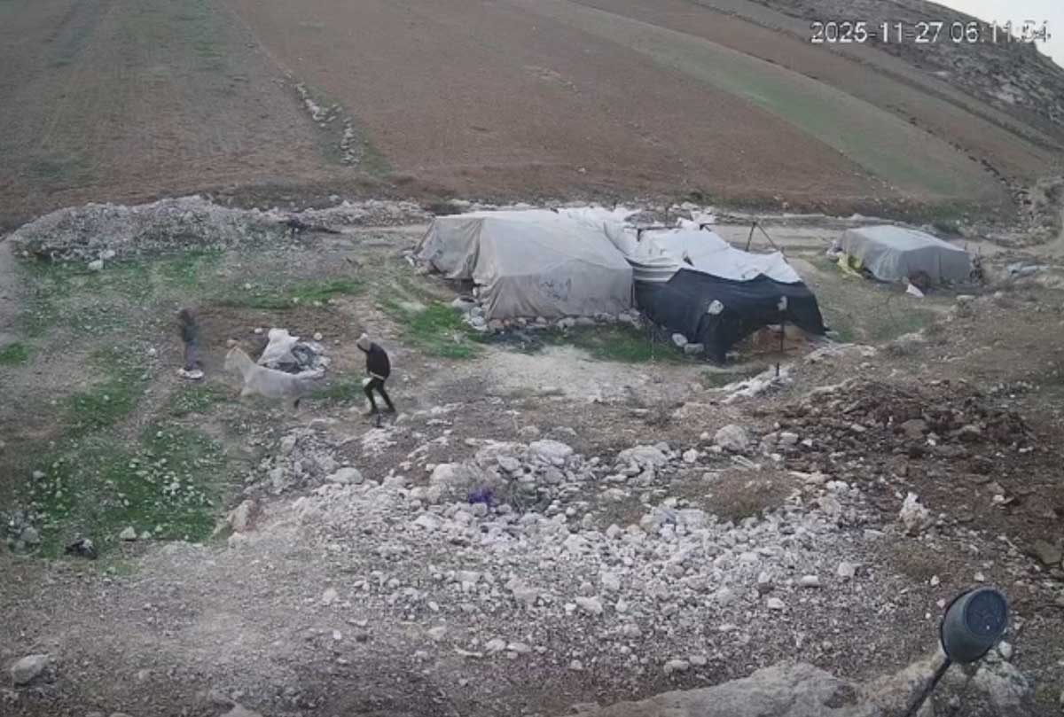 المستوطنان يسرقان الحمار. صورة من توثيق كاميرات المراقبة