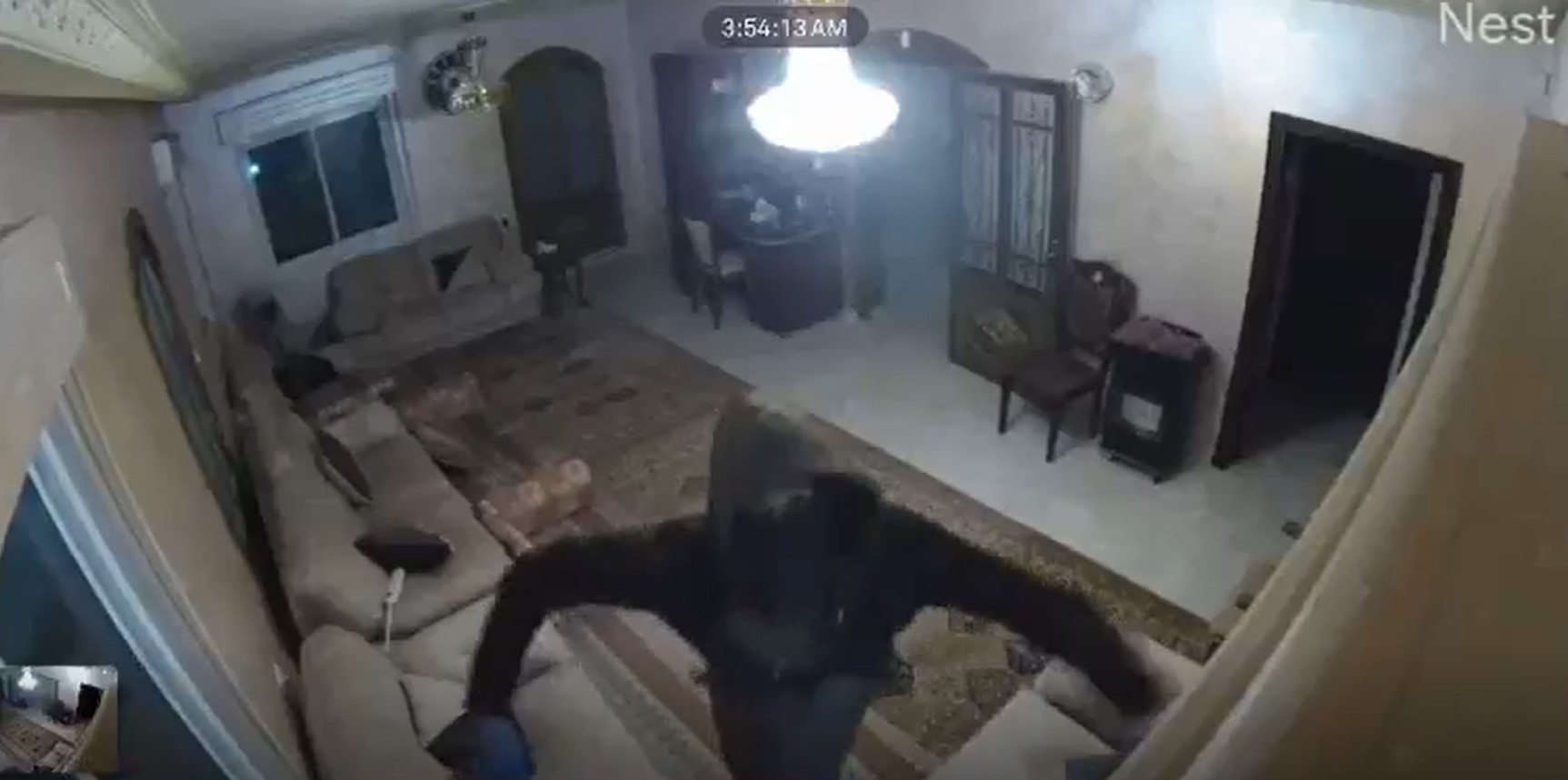 مستوطن يخرّب كاميرا المراقبة. من شريط وثقته كاميرا المراقبة