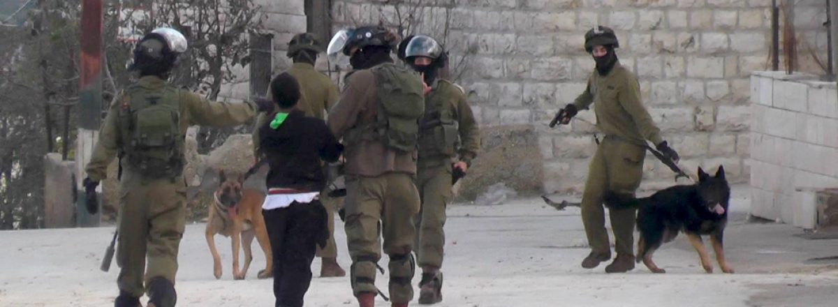 The soldiers, the teen who was attacked, and the attack dogs in Beit Umar. Photo: Muhammad ‘Awwad, B’Tselem, 23 Dec. 2014