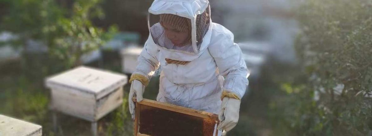 Samar al-Bu’ tends to her beehives