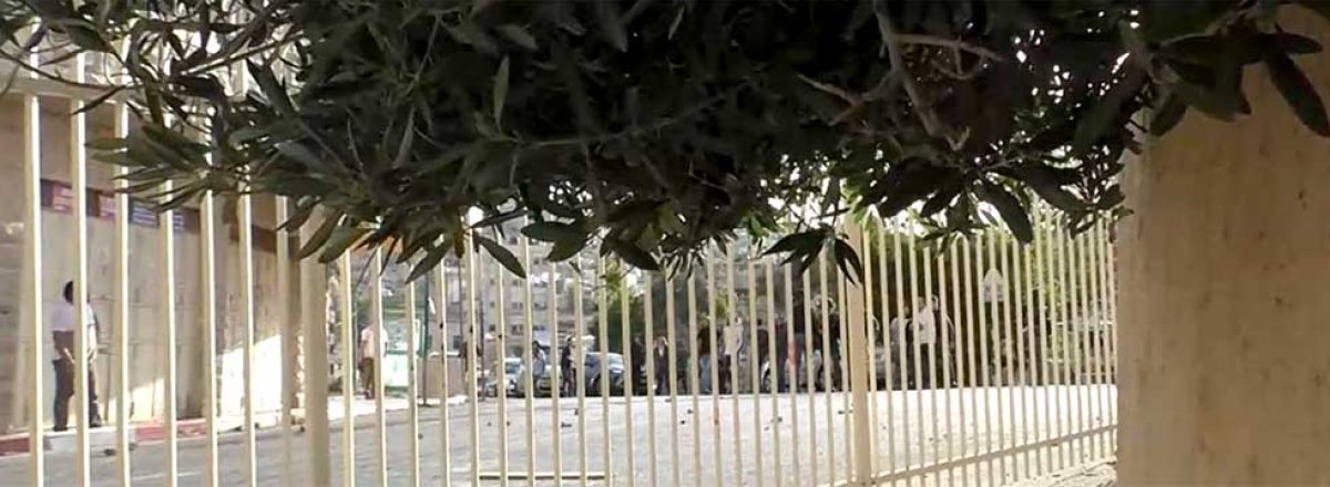 Settlers throwing stones at the Geith neighborhood across the fence. Photo by Nael Fakhuri, 11.5.21