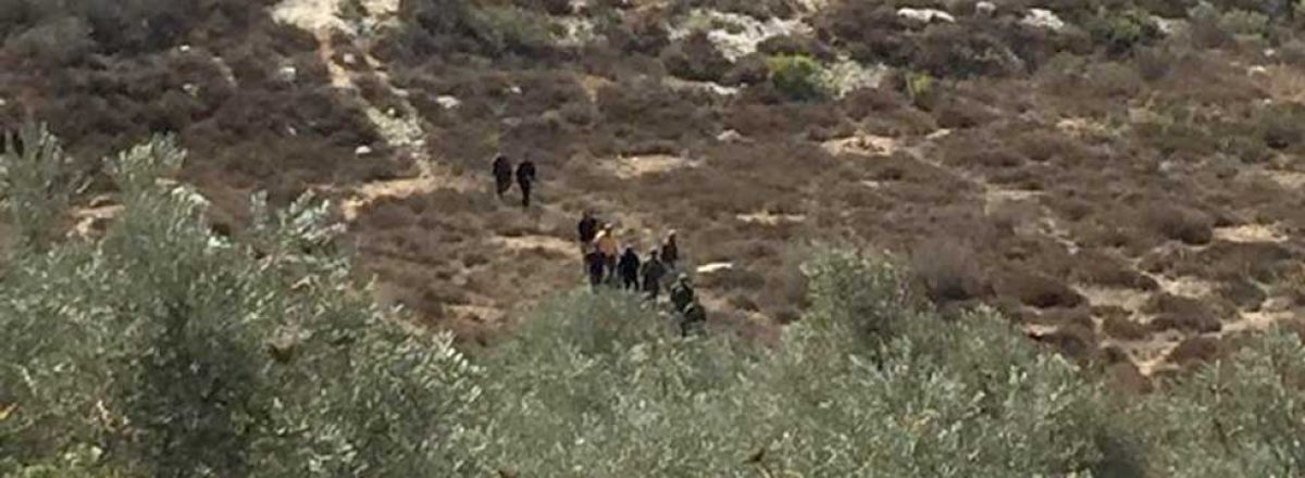 Settlers near the olive grove in Salfit. Photo by B'Tselem, 15 Oct. 2021