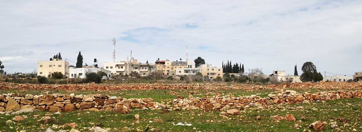 The olive and almond grove where Nihad Dar al-'Is was shot. Photo by Iyad Haddad, B'Tselem, 22 Feb. 2022