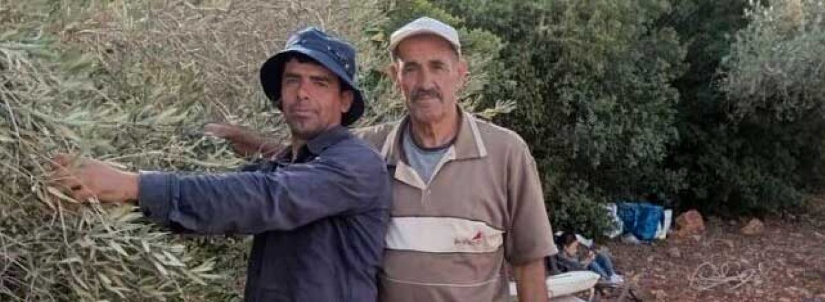 Left: Bilal Muhammed Saleh from the village of As-Sawiya south of Nablus, shortly before he was shot to death by settlers in his olive grove.